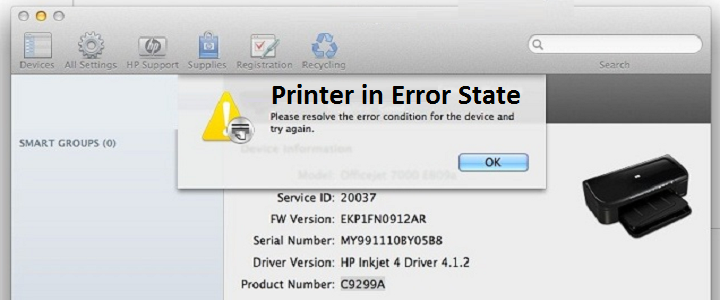 espson printer in error state