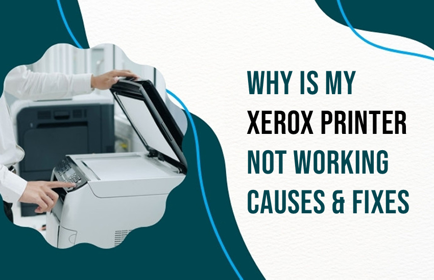 Xerox Printer Not Working